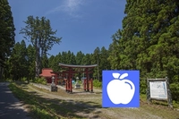 蓬田城址画像