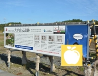 大平山元遺跡画像