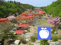高山稲荷神社画像