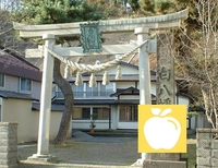 白八幡宮画像