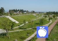岩木川河川公園画像