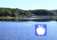 大沢内ため池公園画像
