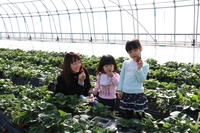 美土里農園画像