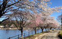 唐桶溜（かろけのため）（唐桶宗山公園）画像