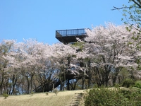 冨士山自然公園画像
