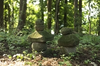 大六天の森画像