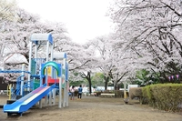 かしの森公園画像