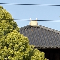 佐屋川創郷公園　展望塔画像