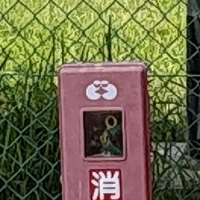 消火器（藤丸第二公園横）画像
