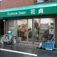花貞画像