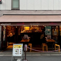 ピンクエレファント画像