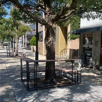 In front of the bench画像