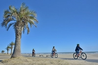 Motosuka Beach画像