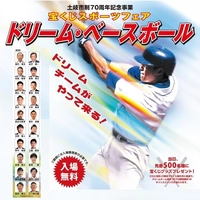【終了】ドリーム・ベースボール画像