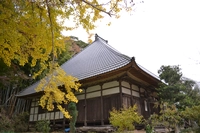 青蓮寺画像