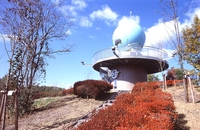 丸山総合公園画像