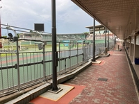 Nagoya Keirin画像