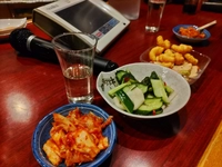 ヴォーカル画像