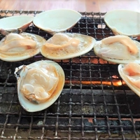 浜茶屋 向島画像