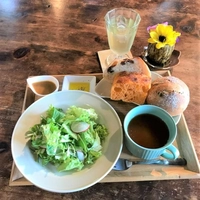 ポラーノ広場画像