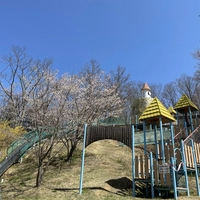 とくら沢ふれあい広場キャンプ場画像