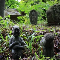 修那羅山 安宮神社（しょならさん やすみやじんじゃ）画像