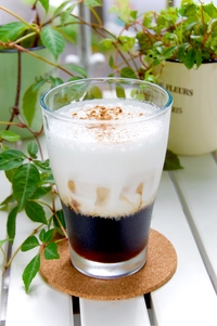 泊まれる猫カフェ　クラシコ画像