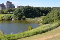 松虫姫公園（見晴らし広場）画像