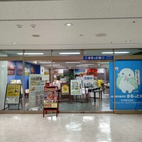 柏市観光案内所 まるっと柏画像