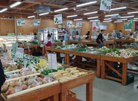 今採り農産物直売所かしわで，農家レストランさんち家画像