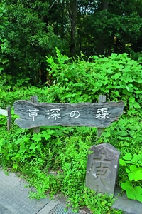 Kusabuka Forest画像