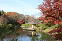 千葉県立柏の葉公園（日本庭園）画像