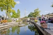 Oasis Park画像