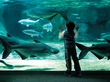 河川環境楽園　世界淡水魚園水族館「アクア・トトぎふ」画像