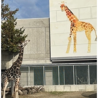 Lake Kasumigaura Animal House画像
