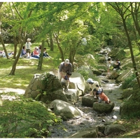 Hinuma Natural Park画像