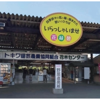 Flower and Tree Center Tokiwa Horticultural Cooperative画像