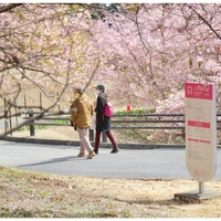 Ibaraki Flower Park画像