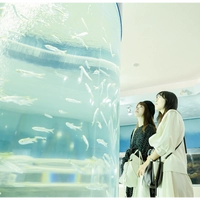 Kasumigaura City Aquarium画像