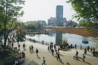 Shinobazu Pond画像