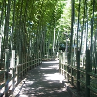 Sparrow's Inn Green Park画像