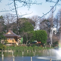 Himonya Park画像