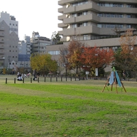 Nakameguro Park画像