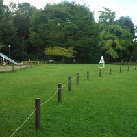 Sugakari Park / Saigoyama Park画像