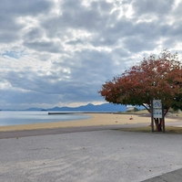 Shiokaze Park Minato Oasis Yu (in front of the bus stop)画像