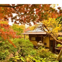 Former Gokichi Matsumoto Villa画像