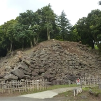 Ishigakiyama Ichiya Castle画像