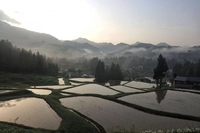 北五百川の棚田画像
