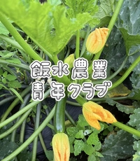 飯水農業青年クラブ協議会画像
