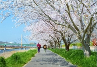新川遊歩道画像